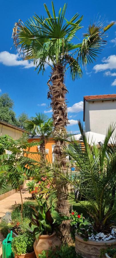 Grahl'S Ferienwohnung Markranstädt Εξωτερικό φωτογραφία